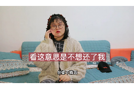 大悟贷款清欠服务